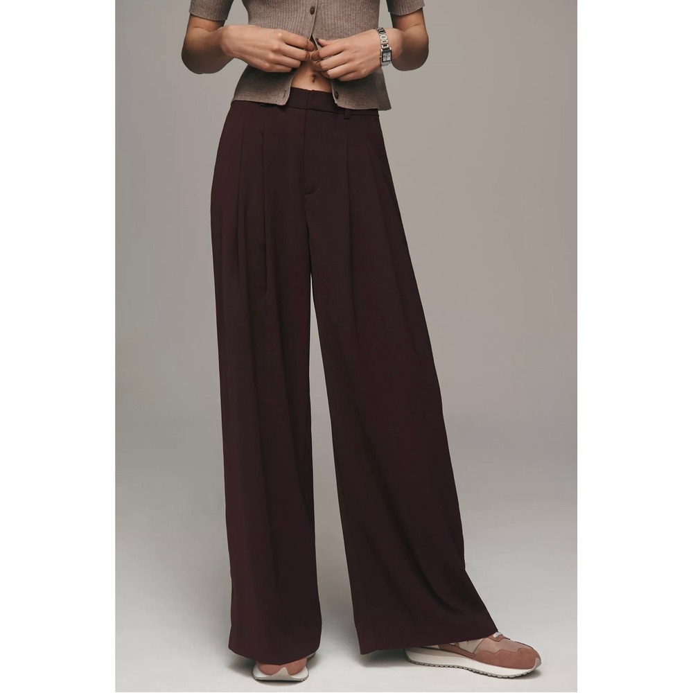 Anthropologie Maeve The Avery Wide Leg Pleated Pants Brown High Rise Trousers 6